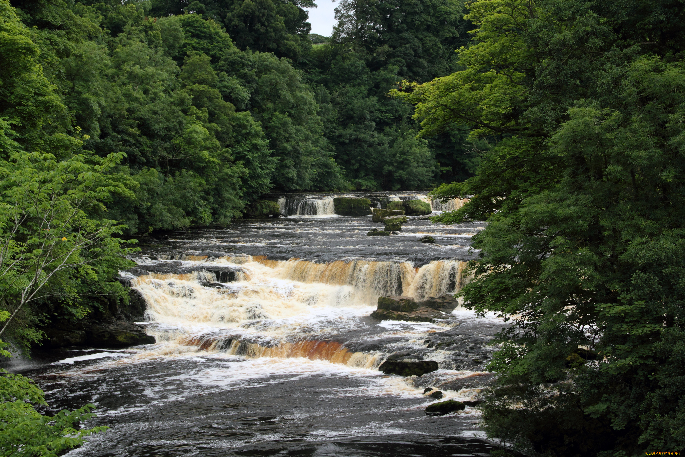 , , , , yorkshire, aysgarth, falls, , 